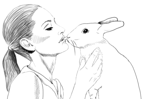 Design Against Fur - Animation